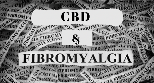 CBD and Fibromyalgia