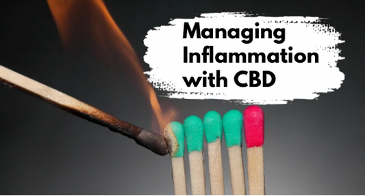 Managing Inflammation with CBD